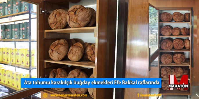 Ata tohumu karakılçık buğday ekmekleri Efe Bakkal raflarında