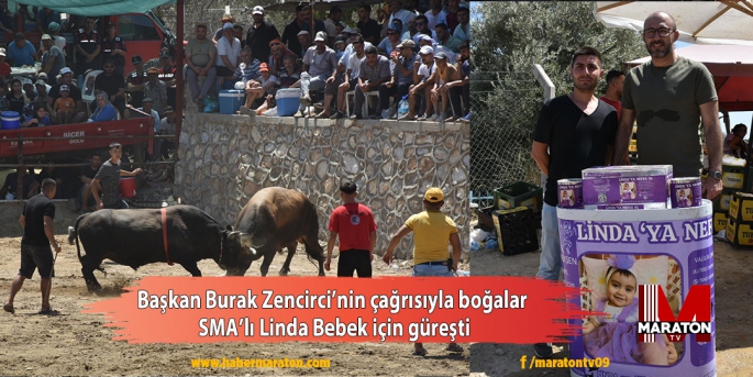 Başkan Burak Zencirci’nin çağrısıyla boğalar SMA’lı Linda Bebek için güreşti