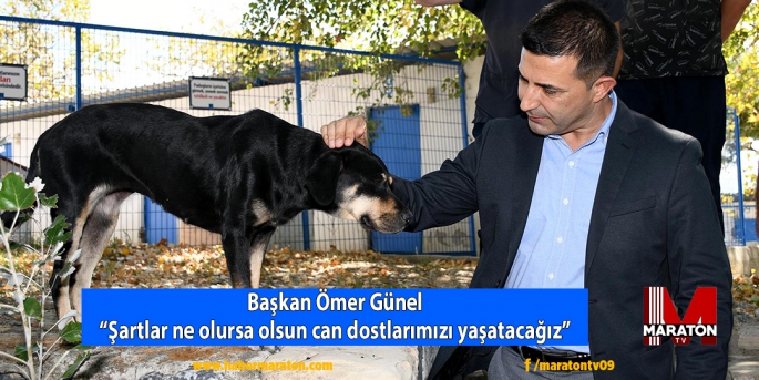 Başkan Ömer Günel: “Şartlar ne olursa olsun can dostlarımızı yaşatacağız” 