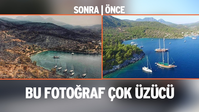 BU FOTOĞRAF ÇOK ÜZÜCÜ