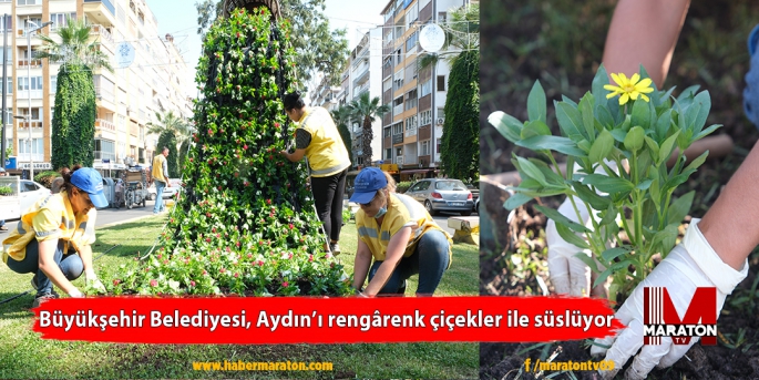 Büyükşehir Belediyesi, Aydın’ı rengârenk çiçekler ile süslüyor