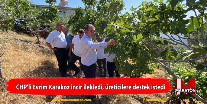 CHP’li Evrim Karakoz incir ilekledi, üreticilere destek istedi