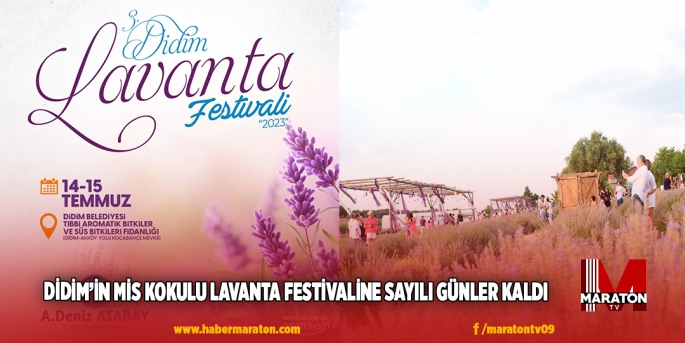 DİDİM’İN MİS KOKULU LAVANTA FESTİVALİNE SAYILI GÜNLER KALDI