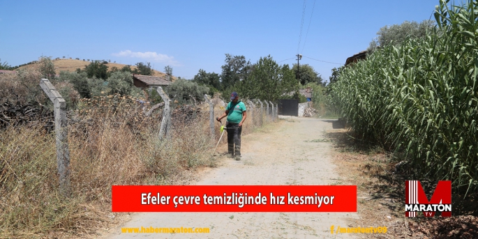 Efeler çevre temizliğinde hız kesmiyor