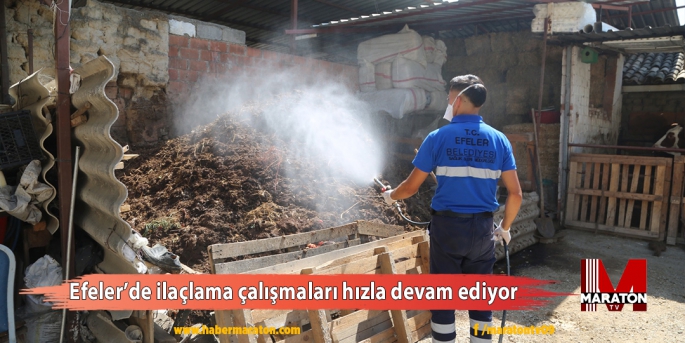 Efeler’de ilaçlama çalışmaları hızla devam ediyor