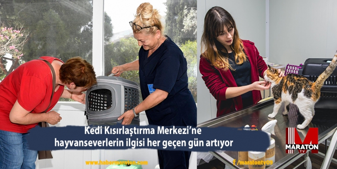 Kedi Kısırlaştırma Merkezi’ne  hayvanseverlerin ilgisi her geçen gün artıyor