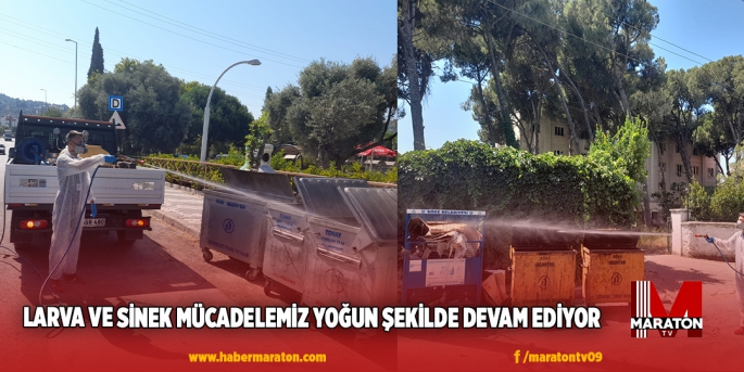 LARVA VE SİNEK MÜCADELEMİZ YOĞUN ŞEKİLDE DEVAM EDİYOR