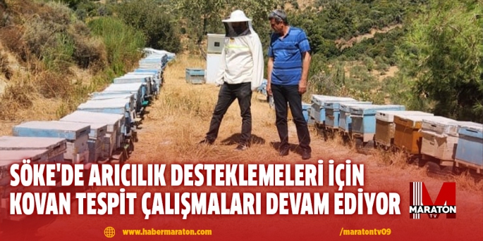 Söke'de arıcılık desteklemeleri için kovan tespit çalışmaları devam ediyor