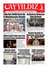 AYYILDIZ