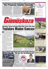 GÜMÜŞKOZA