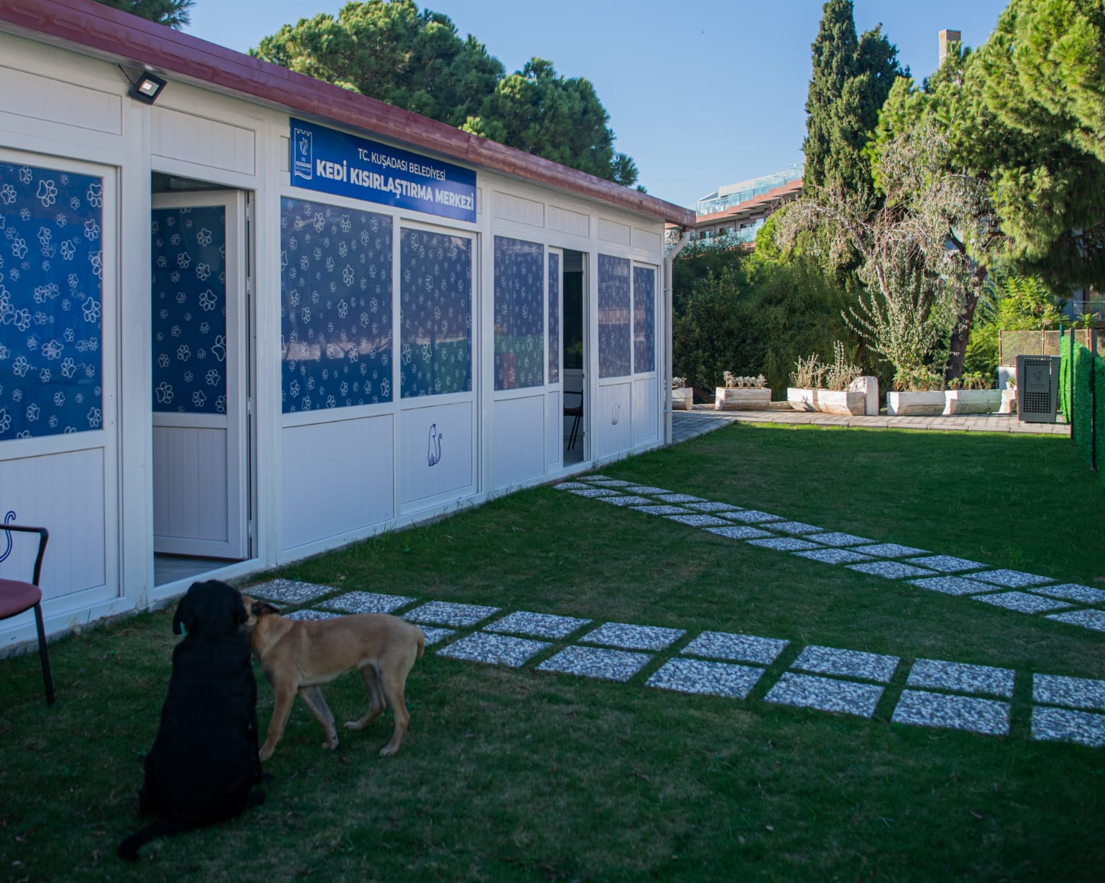 DAVUTLAR’ DA KEDİ KISIRLAŞTIRMA MERKEZİ AÇILIYOR