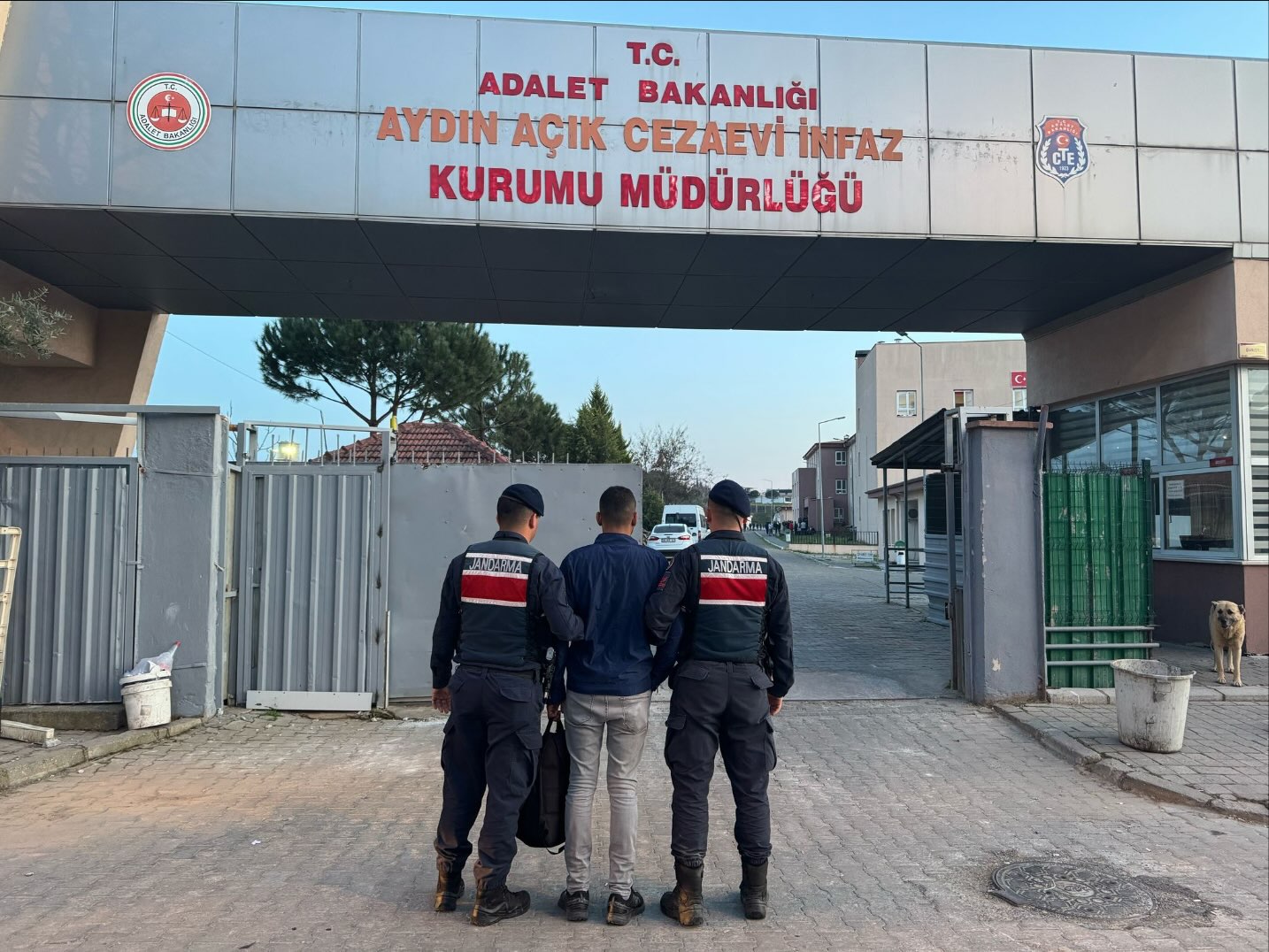 Jandarma Takipteydi: Katilden Dolandırıcıya 53 Kişi Yakalandı!