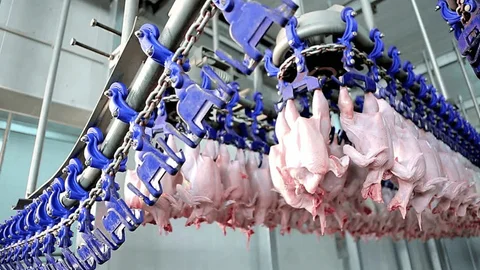 Tarım Bakanlığı Uyardı: Şenpiliç’in Köftesinde Ölümcül Bakteri Tespit Edildi