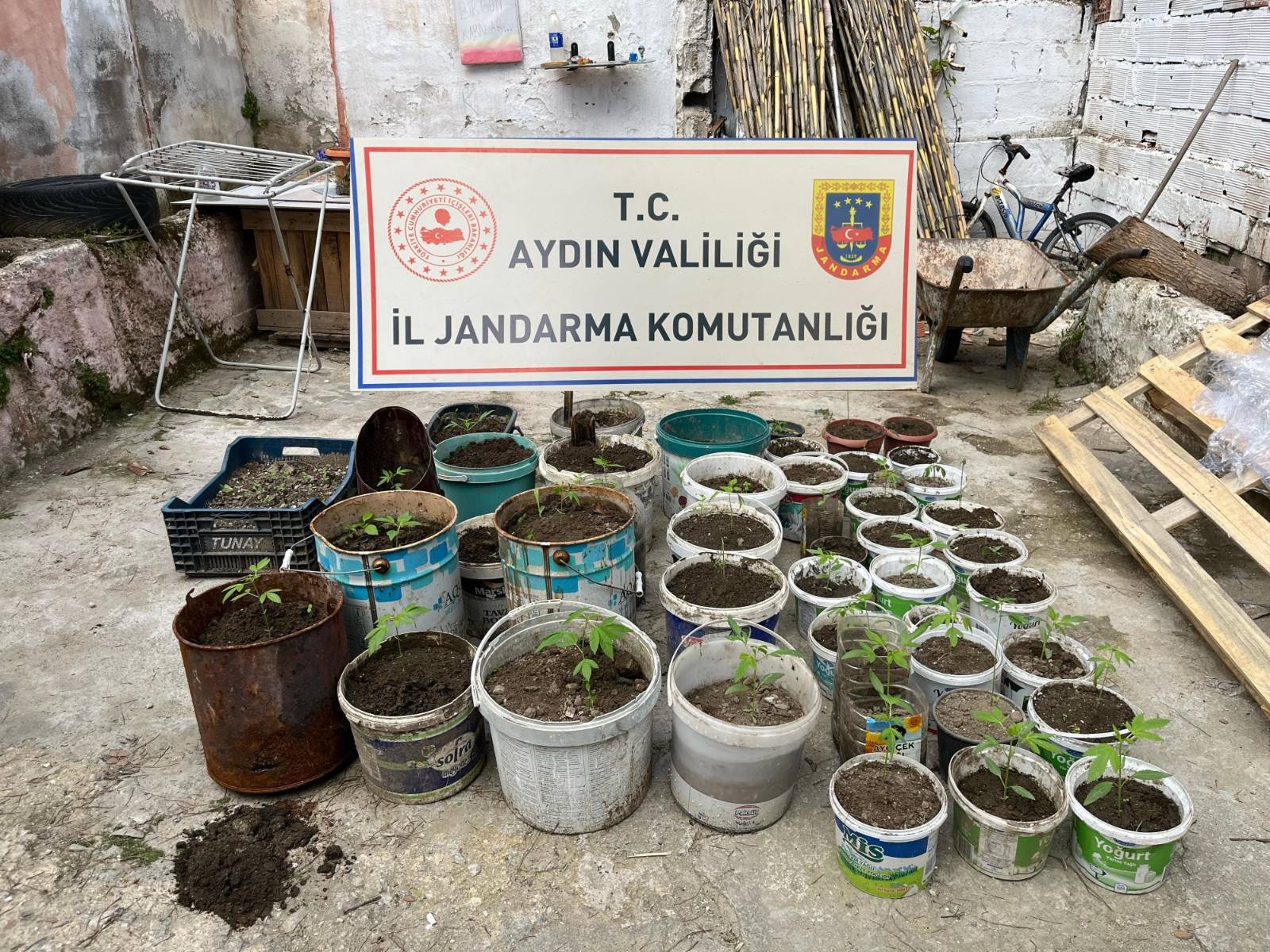 Ev Bahçesi Değil, Uyuşturucu Serası Çıktı!