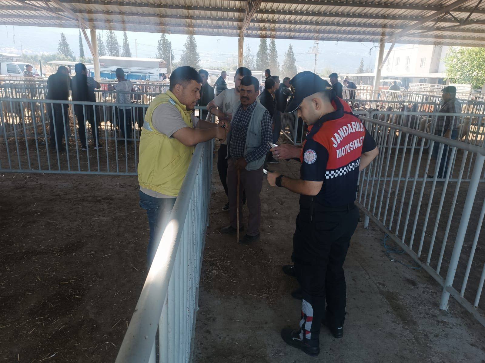 Jandarmadan Hayvan Pazarında Güvenlik Taraması