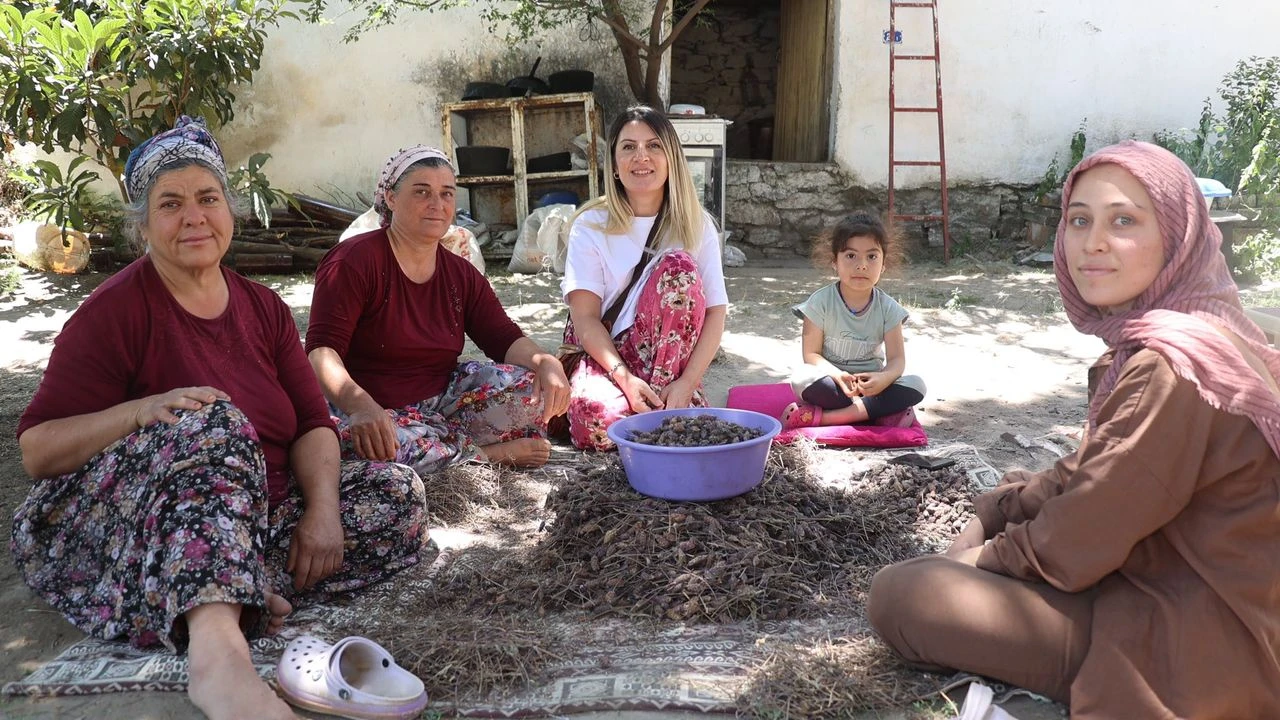 Gönül Belediyeciliği Sahada: Tülay Arıcı Köylüyle El Ele