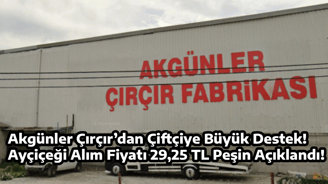 Akgünler Çırçır’dan Çiftçiye Büyük Destek! Ayçiçeği Alım Fiyatı 29,25 TL Peşin Açıklandı!