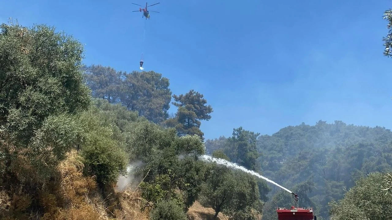 Germencik Dağyeni’nde Yangın Korkuttu, Kaymakam Sultan Doğru Sahadaydı