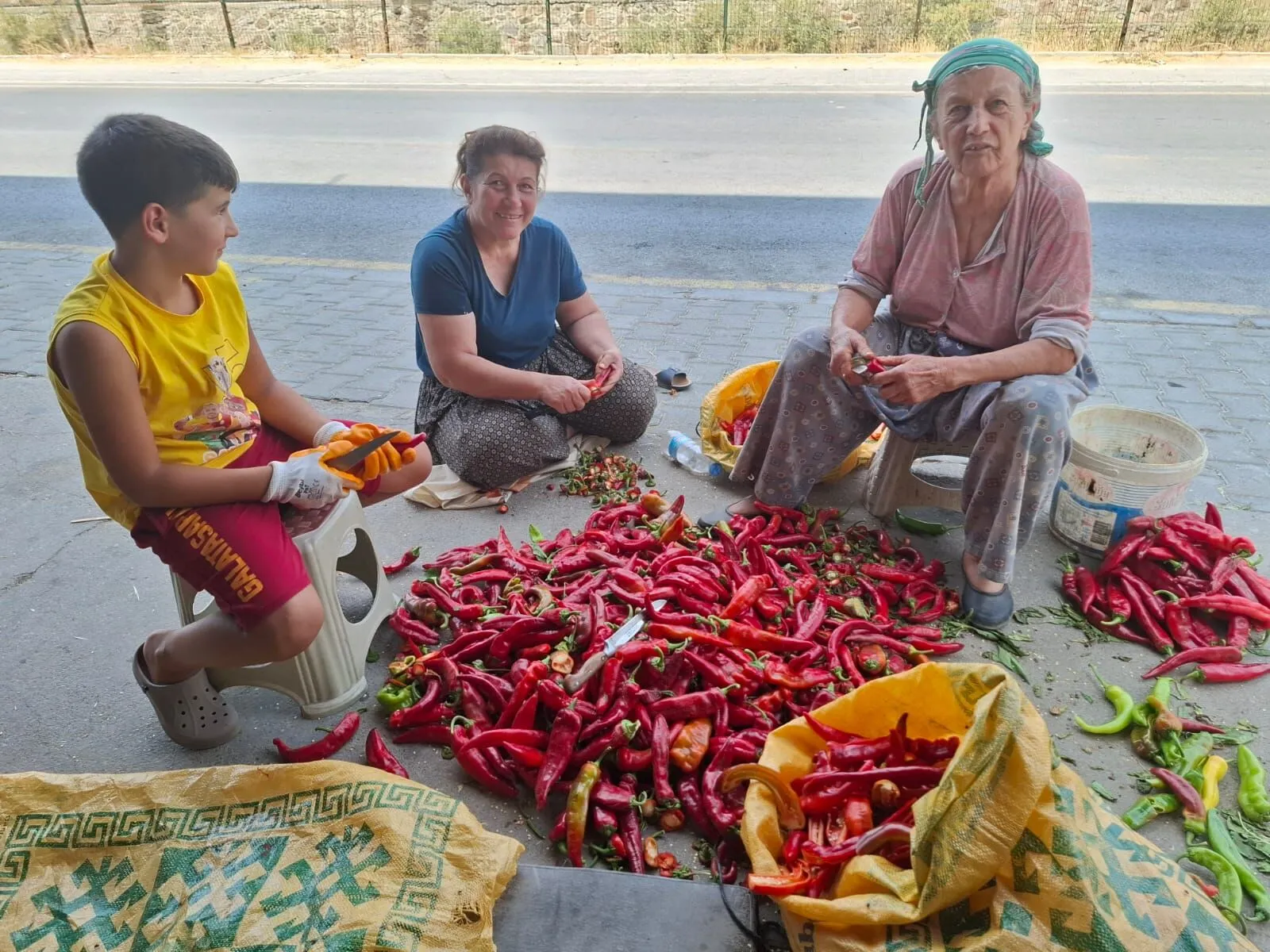 Gençler Tarımdan Uzak, Tarlalar Emektar Ellere Kaldı