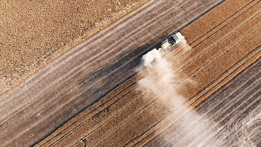 Tarım ve Orman Bakanlığı’ndan Çiftçilere 47,6 Milyon TL Destek Ödemesi