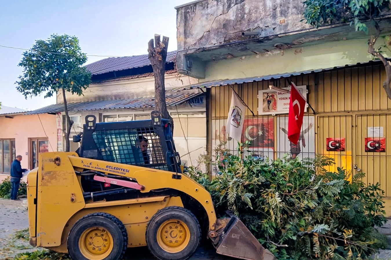 EFELER’DE AĞAÇ BUDAMA ÇALIŞMALARI SÜRÜYOR