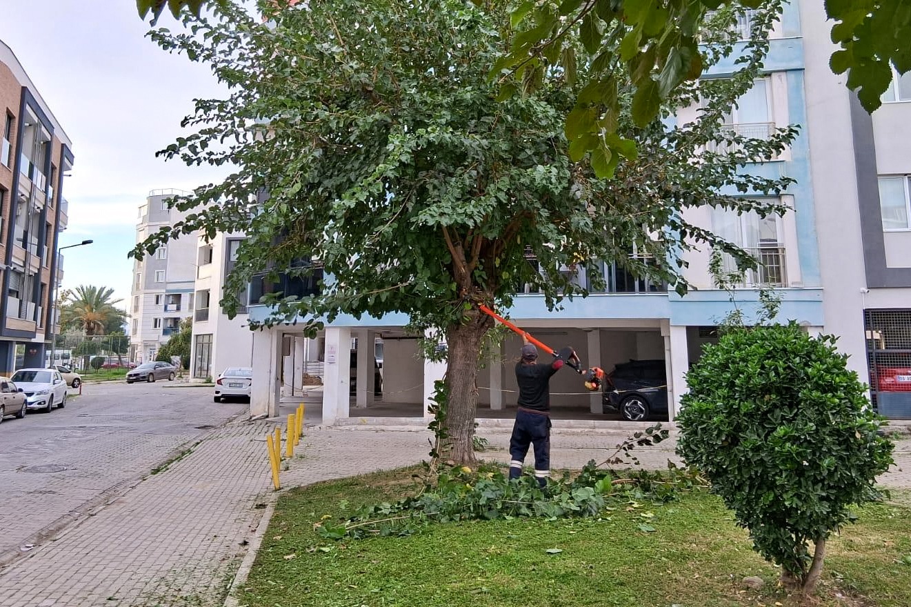 EFELER’İN YEŞİL EKİPLERİ BUDAMA ÇALIŞMALARINA DEVAM EDİYOR