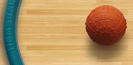 2. Hemsball Türkiye Şampiyonası Nazilli’de Başlıyor