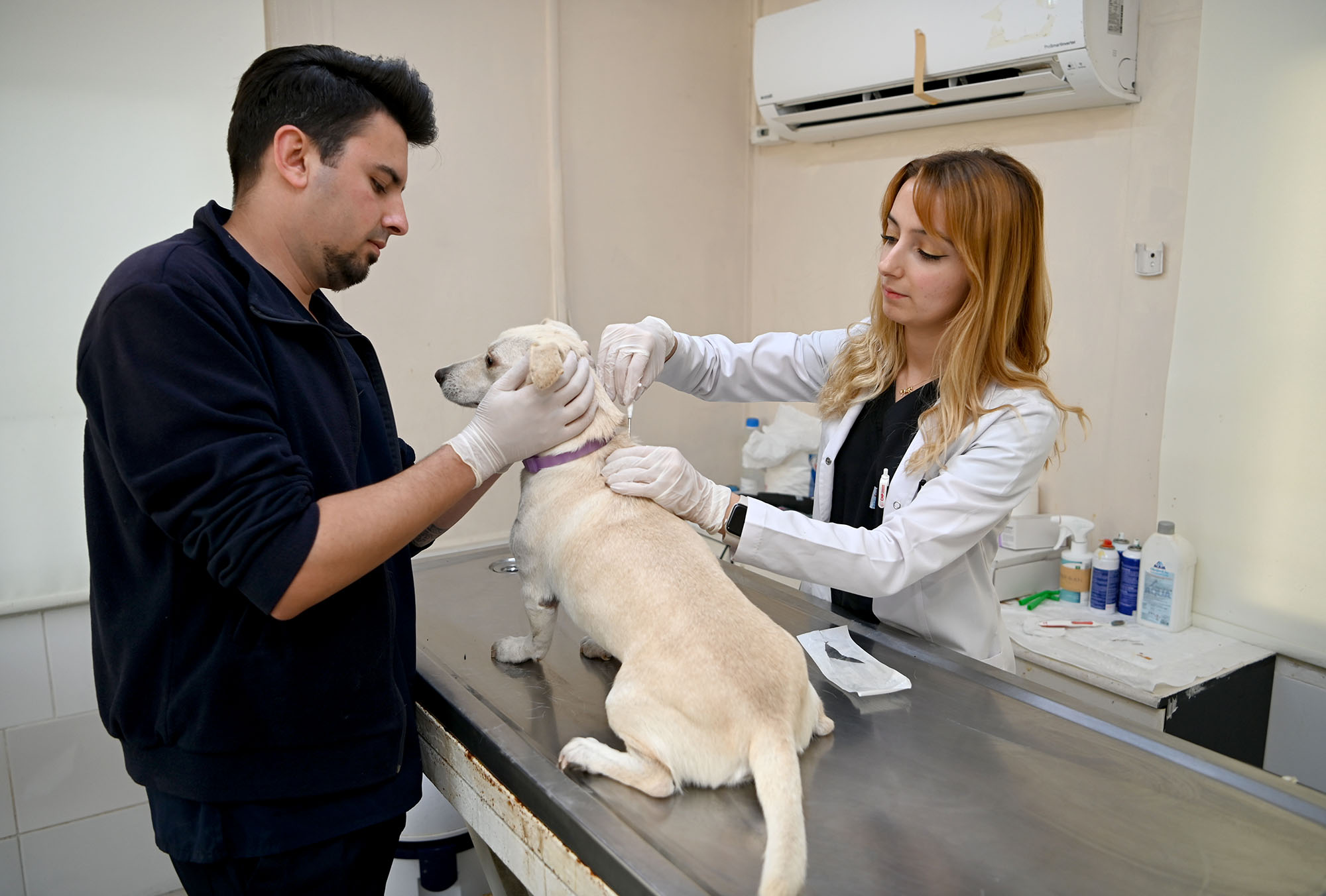 KUŞADASI BELEDİYESİ VETERİNER İŞLERİ MÜDÜRLÜĞÜ’NDEN ‘MİKROÇİP’ UYARISI