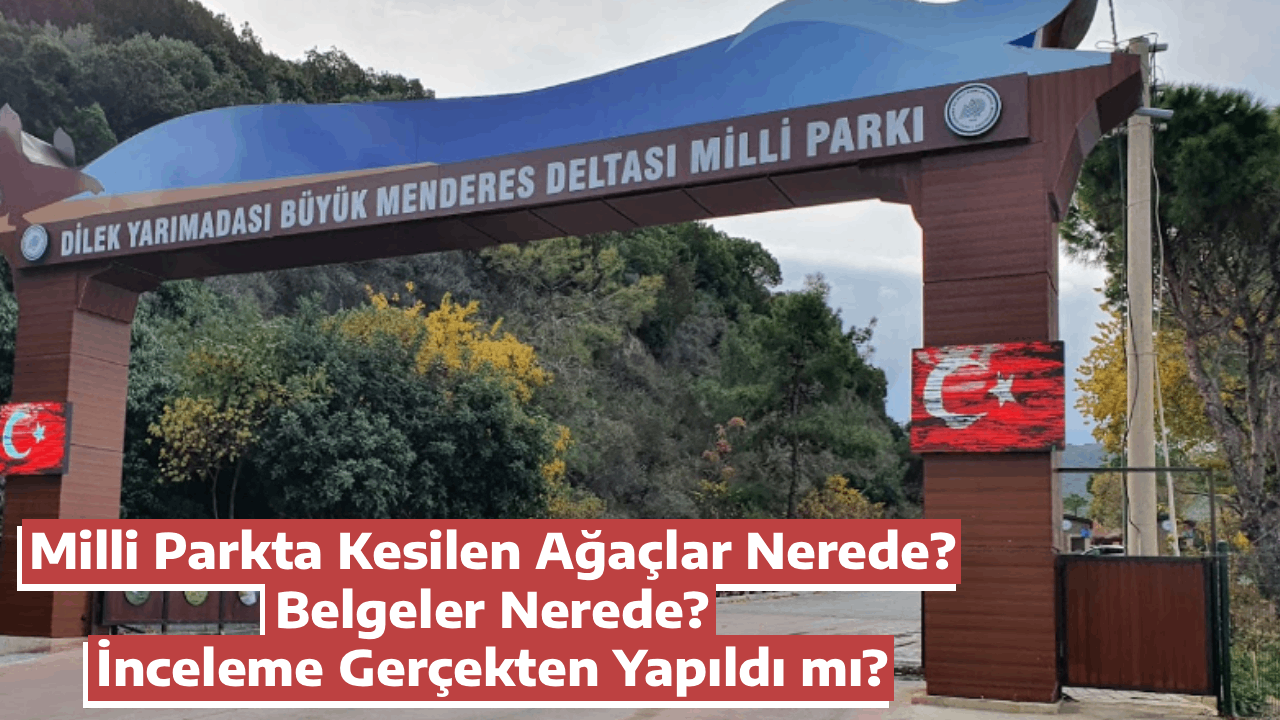 Milli Parkta Kesilen Ağaçlar Nerede? Belgeler Nerede? İnceleme Gerçekten Yapıldı mı?