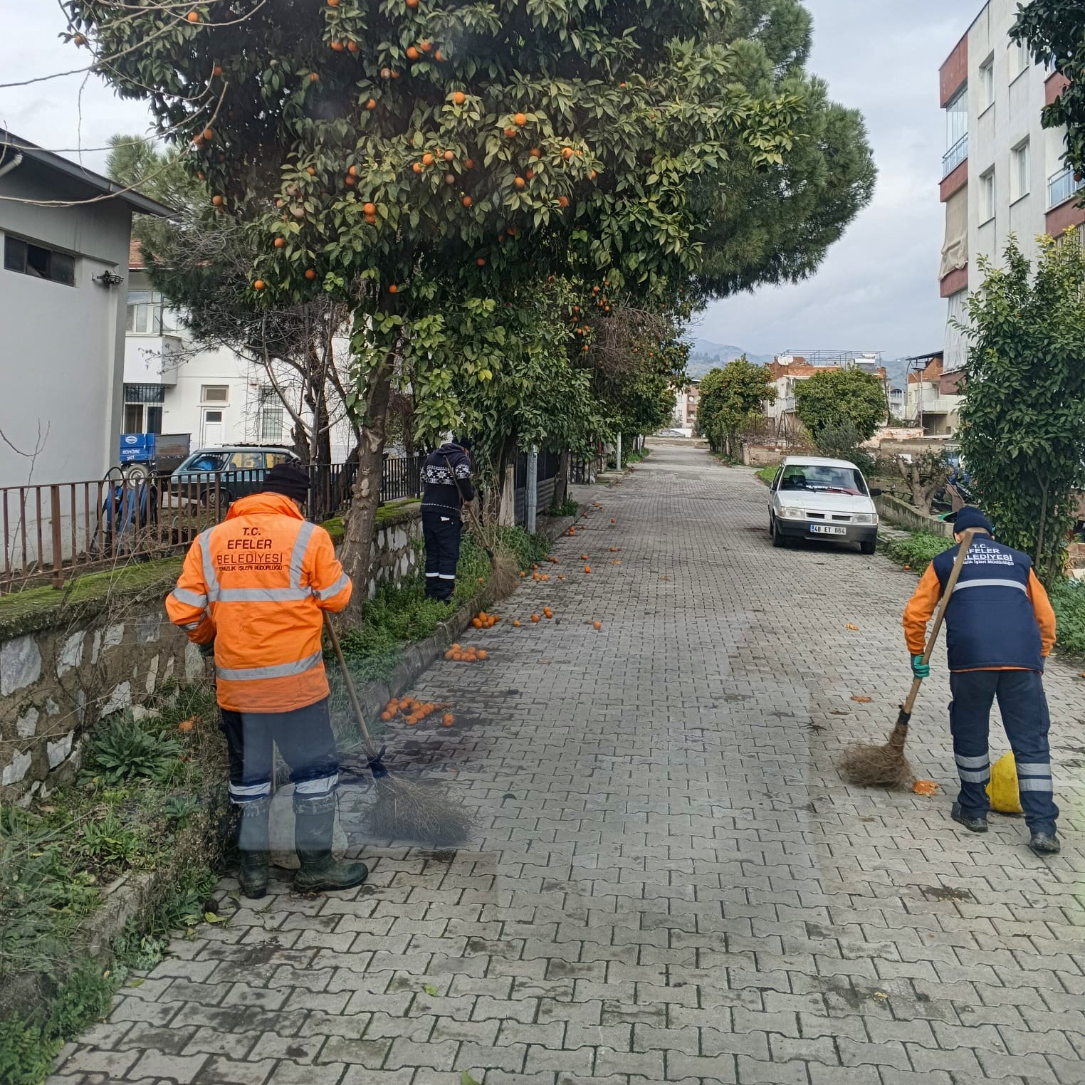 EFELER BELEDİYESİ’NDEN UMURLU’YA