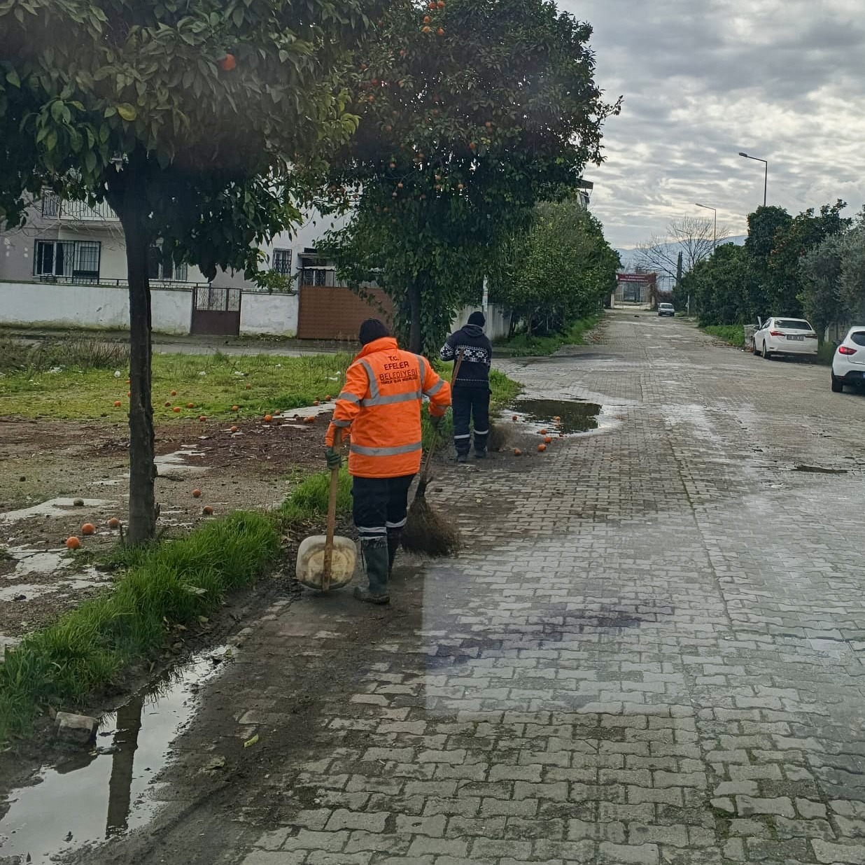 EFELER BELEDİYESİ’NDEN UMURLU’YA KAPSAMLI TEMİZLİK VE BAKIM ÇALIŞMASI