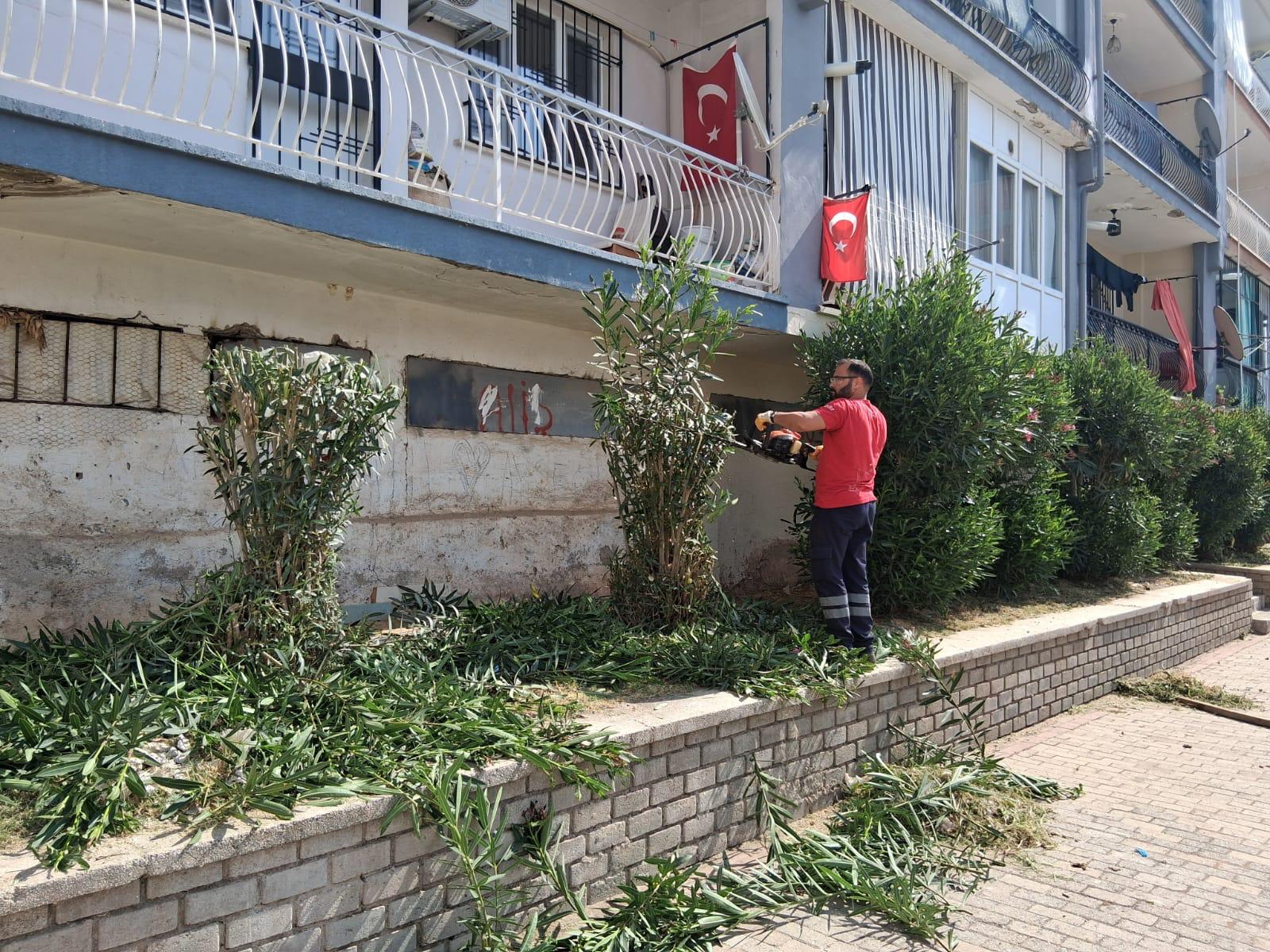 EFELER’İN YEŞİL ALANLARINDA BAKIM ÇALIŞMALARI DEVAM EDİYOR