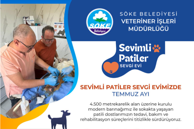 Söke Belediyesi Sevimli Patiler Sevgi Evi’nde Temmuz Ayında 500 Can Dosta Tedavi ve Bakım