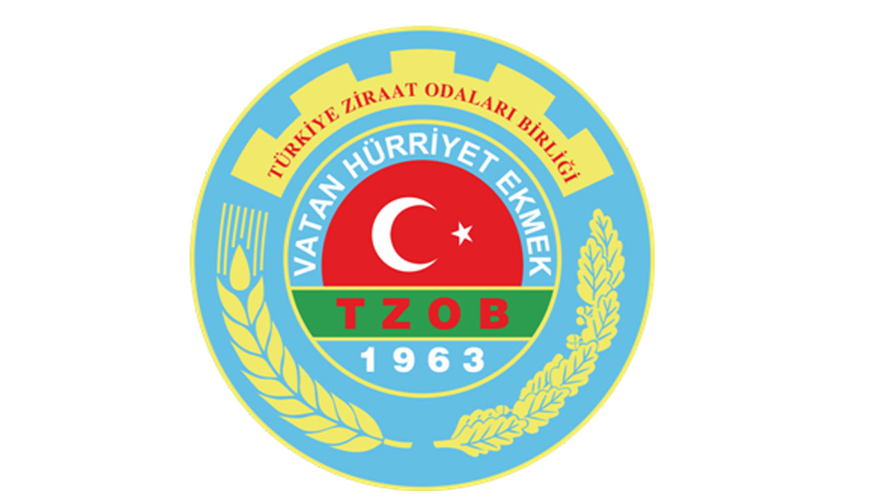 Efeler Ziraat Odası, Pamuk, Mısır ve Ayçiçeği Biçim Ücretlerini Açıkladı